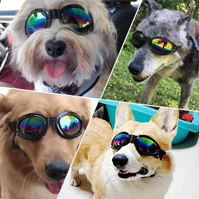 Produktbild von Verstellbare Hundebrille mit UV-Schutz - Winddichte Sonnenbrille für Haustiere.