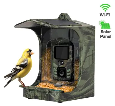 A bird feeder with a built-in camera, featuring a solar panel and Wi-Fi connectivity, with a goldfinch perched on it.