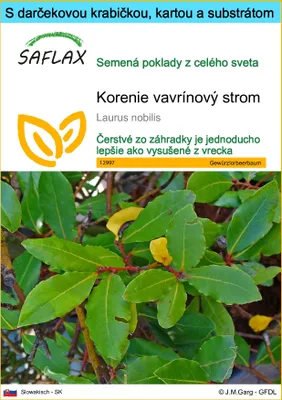 Obrázok produktu pre SAFLAX Darčeková sada - korenie vavrínový strom - Laurus nobilis - 6 Semená - S darčekovou krabičkou, prepravným štítkom, darčekovou kartou a pestovateľským médiom
