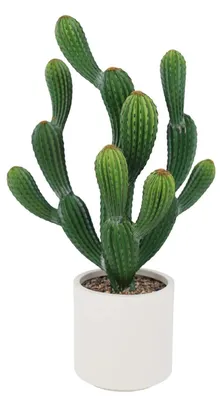 Zdjęcie produktu dla Realistyczna sztuczna roślina kaktus - bonsai w plastikowym doniczce - wysokość 79 cm - odporna na promieniowanie UV - do postawienia na podłodze - dekoracja do wnętrz i na zewnątrz