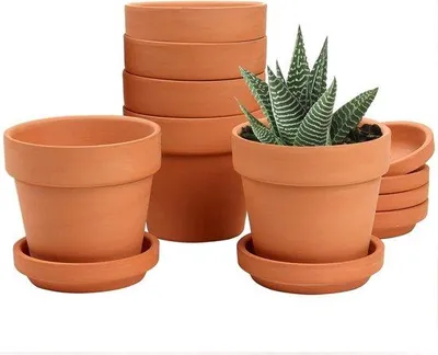 Produktbild von Set aus 6 Mini-Terrakotta-Pflanzkübeln 8 x 8 cm mit Unterlage und Abflussloch - Blumenschalen für Zimmerpflanzen - Terrakotta-Kübel inklusive Servierteller - perfektes Hochzeitsgeschenk