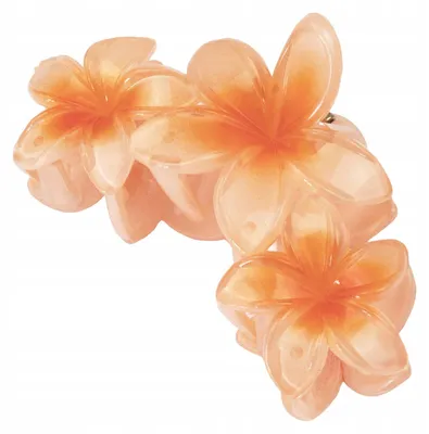 Produktbild von Miss Glow 41951 Große Hawaiianische Blumen Haarklammer