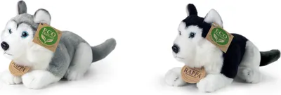 Obrázok produktu pre Plyšový pes husky 17 cm ECO-FRIENDLY