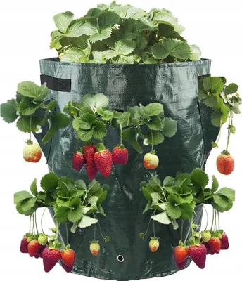 Obrázek produktu pro Vegetables Ponding Bruskets Tube Pond 35Cm