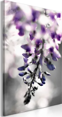 Produktbild von Italienischer Leinwand Leinwandbild - Violet Ringtones (1 Part) Vertical 60x90 cm Blumen b-A-0474-b-a