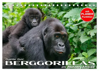 Produktbild von Berggorillas im Herzen Afrikas (Tischkalender 2027 DIN A5 quer), CALVENDO Monatskalender