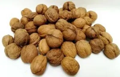 Produktbild von 2KG Walnüsse  Ernte 2025