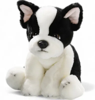 Produktbild von Carl Dick Französische Bulldogge sitzend ca. 24cm 3214 Kuscheltier, Plüschtier, Stofftier