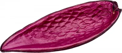 Produktbild von Canoinha brombeer