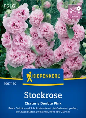 Artikelbild 2 von 'Stockrose Chater’s Double Pink' aus der Kategorie Stockrosensamen