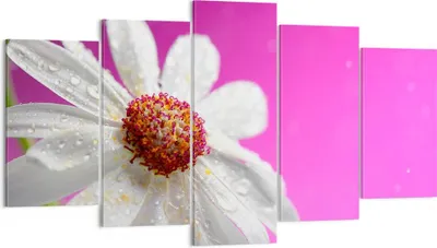 Produktbild von Bild auf Leinwand - Leinwandbild - Blume frühling garten - 160x85cm - Wand Bild - Wanddeko - Leinwanddruck - Bilder - Kunstdruck - Wanddekoration - Leinwand bilder - Wandkunst - EA160x85-2469