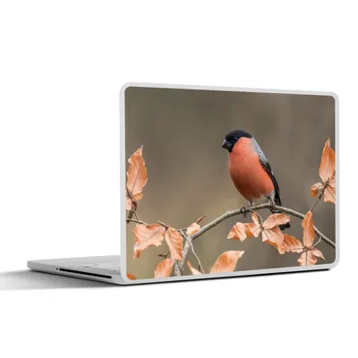 Produktbild von MuchoWow® Laptop Aufkleber Sticker Cover Vogel - Laub - Herbst - Gimpel - 31x22.5 cm - Laptop-Deko