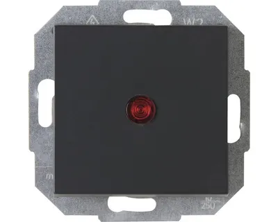 Produktbild von Kopp 588665554 Kontrollschalter Athenis 55 anthrazit