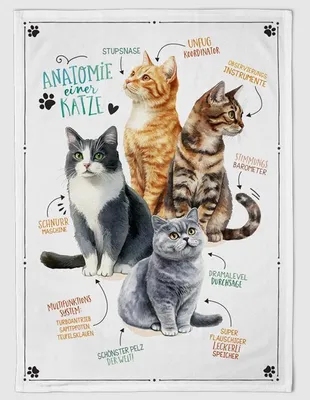 Produktbild von Geschirrtuch Samtpfoten, Geschirrtücher Mitbringsel Geschenkideem Katzen Kätzchen Tiere