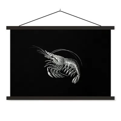 Produktbild von MuchoWow® Textilposter Shrimps - Vintage - Ernst Haeckel - Tiere - Kunst 90x60 cm mit schwarzem Rahmen - Aufhängungssatz