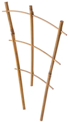 Obrázok produktu pre Bambusové oporné tyče, výška 26 cm, balenie 10 kusov, vhodné na podporu rastlín, prírodná dekorácia, podporujú rast rastlín, Obrázok generovaný UI
