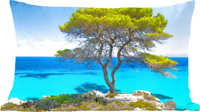 Produktbild von MuchoWow® Zierkissen Sofakissen Wohnzimmer Dekokissen 50x30 cm Baum - Meer - Tropisch - Sommer - Wohnzimmerdekoration - Polster mit Photo