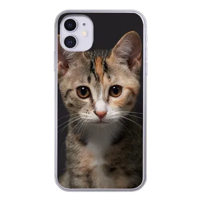 Produktbild von MuchoWow® Handyhülle Schutzhülle Hülle für iPhone 11 Katze - Schwarz - Porträt Silikon Softcase Handy Hülle - Handytasche