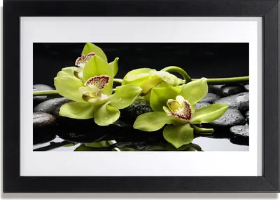 Produktbild von Bild 30x20 MDF-Rahmen Wandkunst Blume Orchidee Pflanze