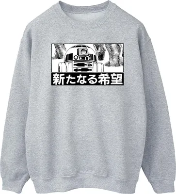 Produktbild von Star Wars - Sweatshirt für Herren BI46117 (M) (Grau)