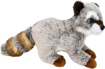 A plush toy raccoon is shown against a white background.