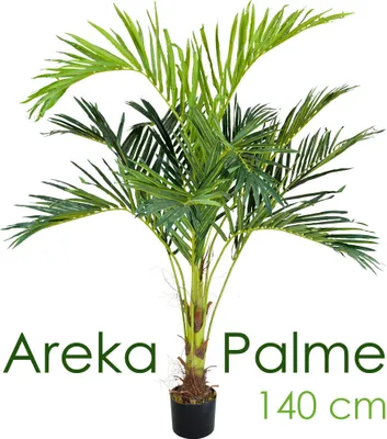 Produktbild von künstliche Pflanze, als Deko Wohnzimmer, Kunstpflanzen groß, Plastik wie echt, Decovego, Auswahl Palme Pflanze:Palme Modell 17 (Arekapalme 140 cm)