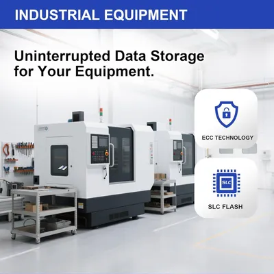 Immagine prodotto di Scheda di memoria Compact Flash Dogfish, 256 MB, confezione da 10 pezzi, scheda CF di tipo I per applicazioni industriali, macchine CNC, sistemi embedded e dispositivi obsoleti
