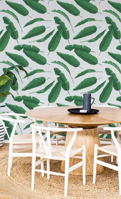 Produktbild von Coloray Fototapete 152x104 cm Vlies-Fototapete - Bananenblätter