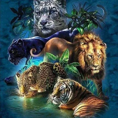 Immagine prodotto di Mosaico di diamanti, animali della famiglia dei felini, 30x40 cm, kit creativo per mosaici