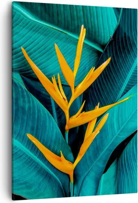 Produktbild von Bild auf Leinwand - Leinwandbild - Einteilig - Blumen Tropen Blätter - 50x70cm - Wand Bild - Wanddeko - Wandbilder - Leinwanddruck - Wanddekoration - Leinwand bilder - Wandbild - PA50x70-5116