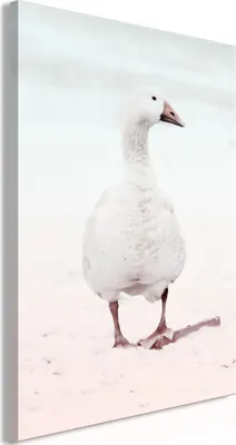 Produktbild von Vliesstoff Leinwandbild - Winter Duck (1 Part) Vertical 60x90 cm Tiere g-C-0220-b-a