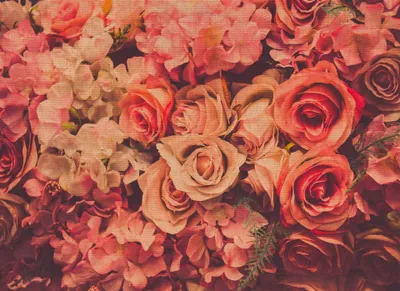 Produktbild von Romantische Rosen Tapete | Rosa Fototapete mit Blumen im Vintage Stil | Vlies Fototapete im Nostalgie Stil ideal für Sch