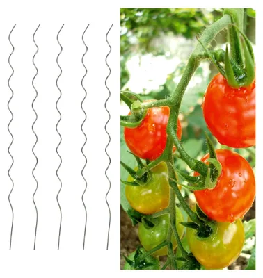 Produktbild von 5er Set Tomatenspiralstäbe 110 cm