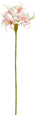 Produktbild von Mica Decorations Kunstpflanze Nerine rosa 59 cm