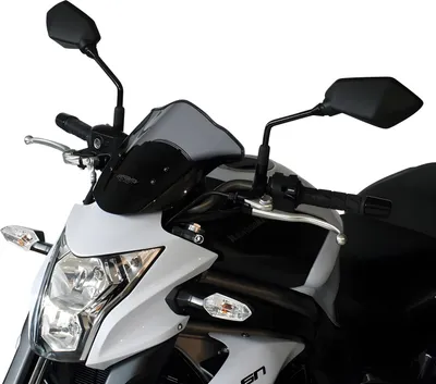 Produktbild von MRA touring screen T smoke grey ER 6 N ER650E