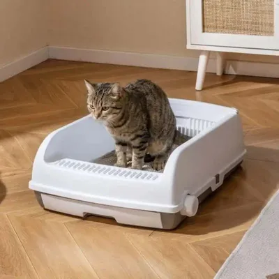 Image de Litière automatique pour chats, semi-automatique, avec couvercle ouvert