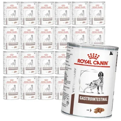 Zdjęcie produktu dla Royal Canin Veterinary VHN Dog Gastrointestinal 24x400g Mokra Karma Pasztet Dla Psów z Zaburzeniami Trawienia