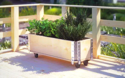Produktbild von Kräuterbox Holz Rollen Pflanzen Blumen Topf Anzucht Balkon Gemüse Garten Beete