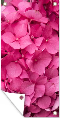 Produktbild von MuchoWow® 30x60 cm Outdoor-Poster Gartendeko Sichtschutz Garten Poster für den Garten  Nahaufnahme rosa Hortensienblüten