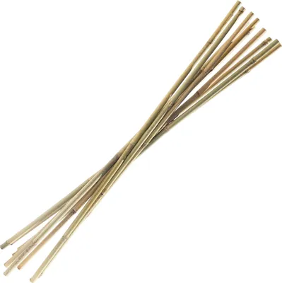 Produktbild von 10 Tonkinstäbe 105 cm x 15 -17 mm
