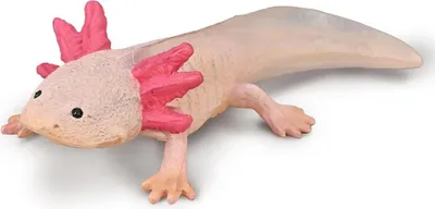 A toy axolotl figure on a white background.