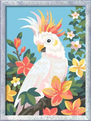 Immagine prodotto di Cacatua