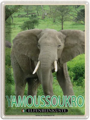 Image de vianmo Plaque en tôle 40x30 cm Yamoussoukro Elfenbeinküste Nationalpark