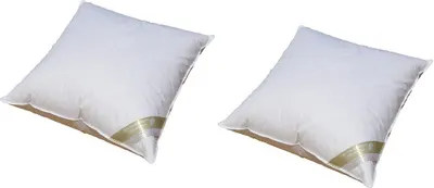 Produktbild von 2 Stück Betten Hofmann  Pusta Kopfkissen Kuschelkissen 60x60 cm Kissen 30% Daunenanteil 500 g