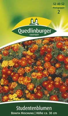 Produktbild von Quedlinburger Saatgut - Studentenblumen Bonita - Samen - 524052