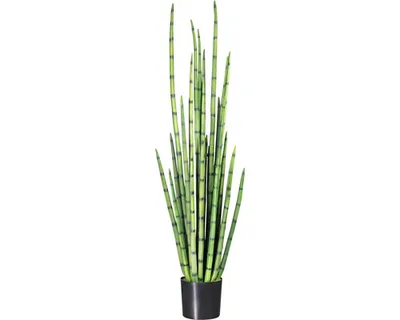 Produktbild von Kunstpflanze Sanserveria Höhe: 140 cm grün