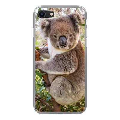 Produktbild von MuchoWow® Handyhülle Schutzhülle Hülle für iPhone SE 2020 Koala - Blätter - Kinder - Jungen - Mädchen Silikon Softcase Handy Hülle - Kartenbesitzer