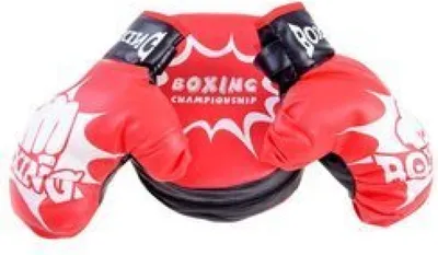 Obrázok produktu pre Boxerské rukavice Tréningová sada SP0638
