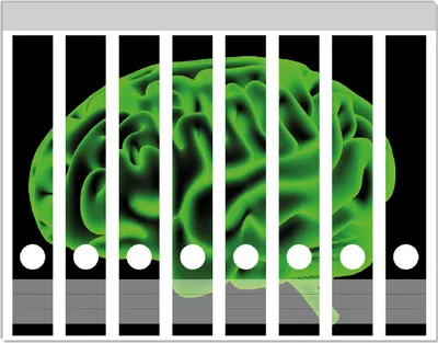 Produktbild von Wallario Ordnerrücken Sticker, selbstklebend für schmale Ordner, 8 Stück, Motiv Menschliches Gehirn in leuchtend grüner Farbe