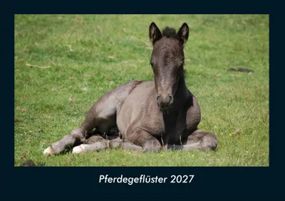 Produktbild von Pferdegeflüster 2027 Fotokalender DIN A4